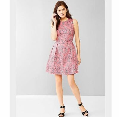 NWD Gap Pink Floral Fit and Flare Dress Sz 8