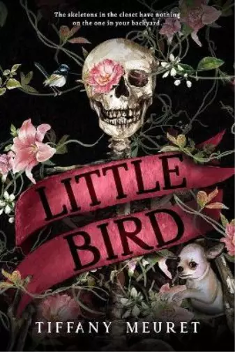 Tiffany Meuret Little Bird (Poche)