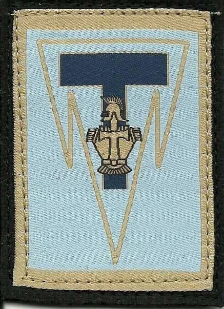 Patch Militaire CCPF Basse Visibilité - Insigne Tissu Armée De Terre - Neuf