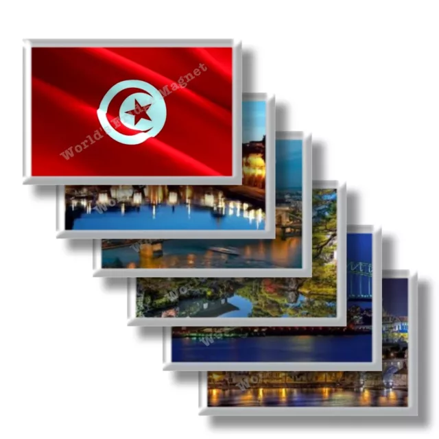 TN - Tunisia - frigo calamite frigorifero souvenir magneti fridge magnet