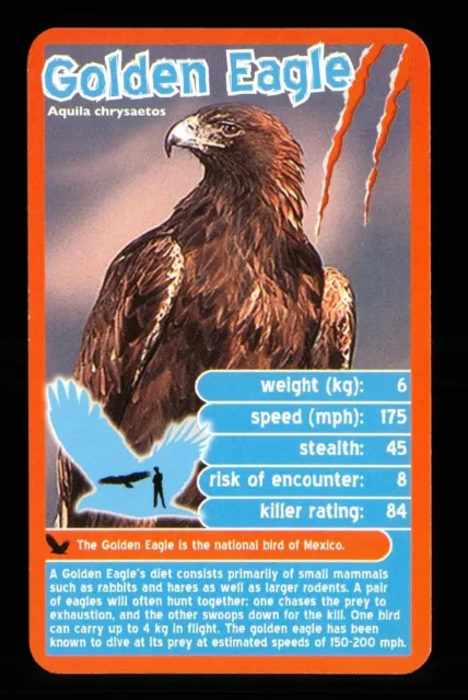 1 x info card deadliest predator Golden Eagle - R114
