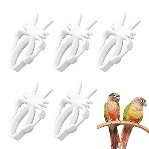 Pince à Fruits pour Oiseaux, Outil de Fruit de Perroquet Oiseaux, Porte-Nourritu