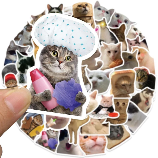 50 STCK. Kawaii Smile Katze Skizzenbuch Aufkleber Ästhetisch PVC Schreibwaren Kinder A A