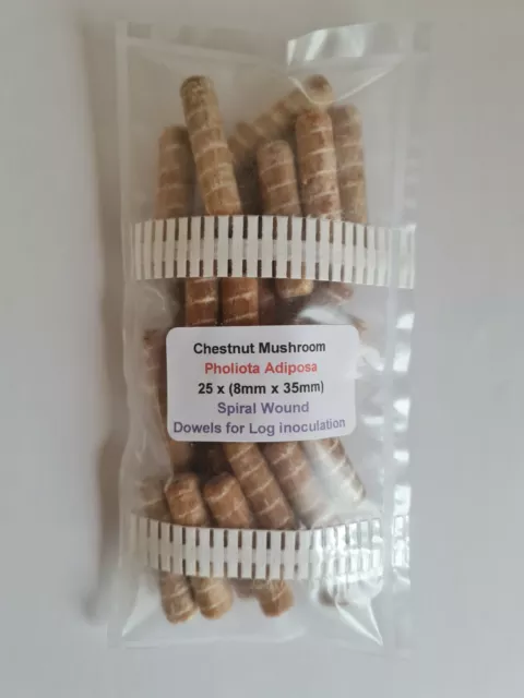 Chestnut Mushroom - log / stumps - 25 wooden plugs spiral dowels for garden grow