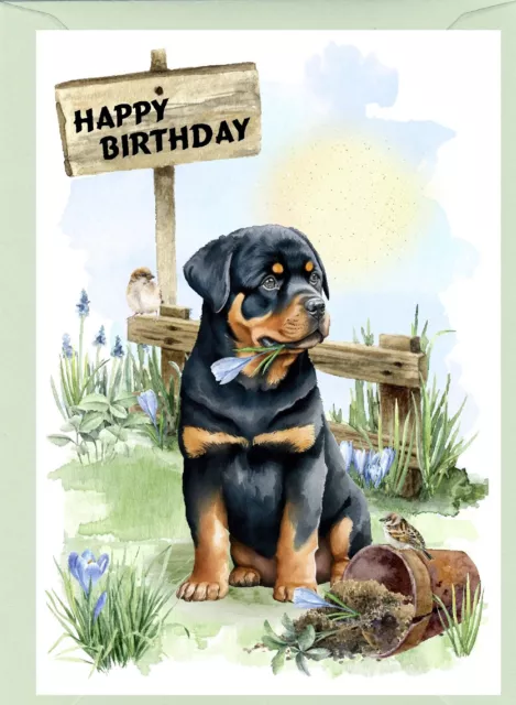 Rottweiler Dog (4"x 6") Birthday Card - blank inside - by Starprint