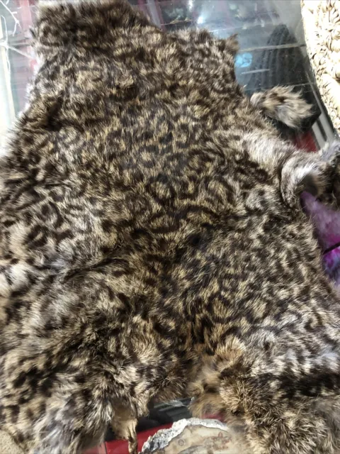 1 X Tanned Rabbit Skin Hide Pelt For Craft Animal Fur Decor Natural 8''-14'' US