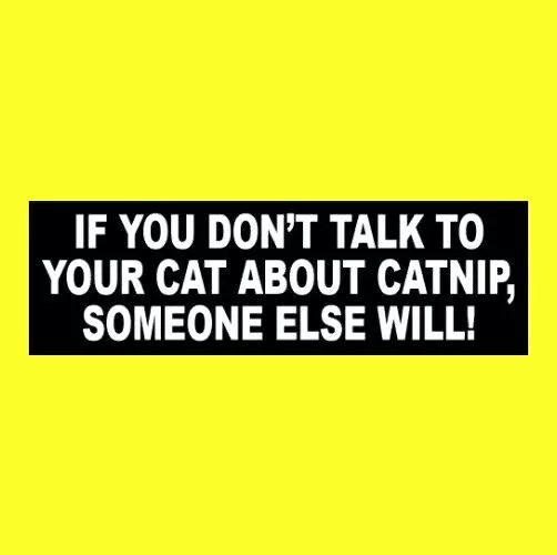 Funny "IF YOU DON'T TALK TO YOUR CAT ABOUT CATNIP, SOMEONE ELSE WILL" sticker