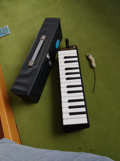 HOHNER melodica Cassotto 26, Vintage, Rarität, aus den 50er