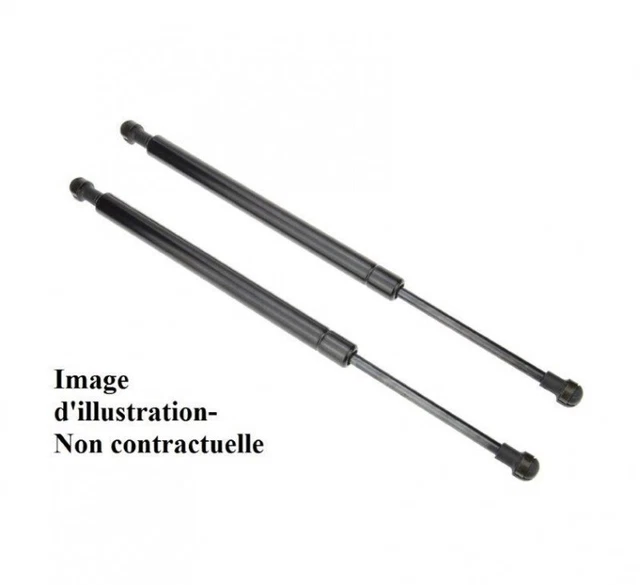 Lot De 2 Vérins De Hayon / Coffre Pour Infiniti FX35, FX37, FX45, FX50 - Neufs - Référence Fabricant TB 01661