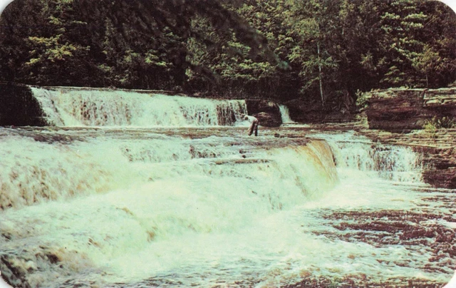 Man Fishing on Lower Tahquamenon Falls - Upper Peninsula of Michigan MI Postcard