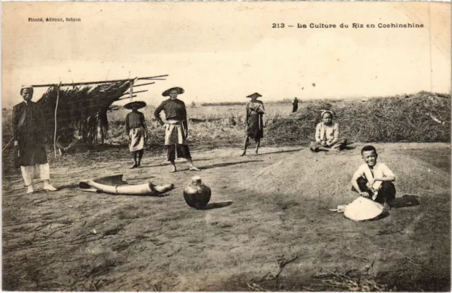 CPA AK Vietnam Rice Culture in Cochinchina Indochina (1284236)