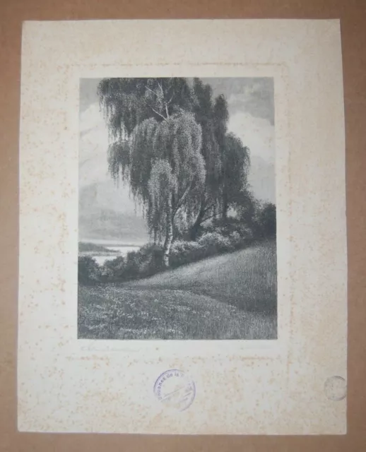 Emil Richard Rucktaschel 19th century signed etching print landscape willow tree