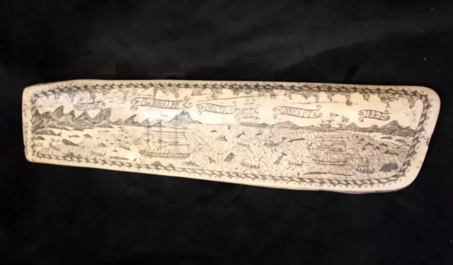 Vintage 1842 Fogos The Whaler Delta Green Pt Reproduction Scrimshaw 17" Rib