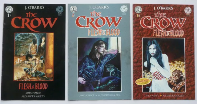 James O'Barr's The Crow: Flesh & Blood #1 to 3 Set Kitchen Sink 1996 FN+ 6.5