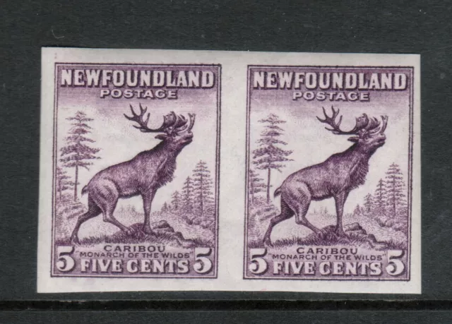 Newfoundland #191b Very Fine Never Hinged Imperforate Die 2 Pair