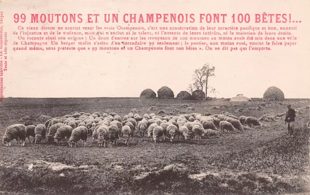 51-Moutons Et Champenois-N�T1185-D/0127