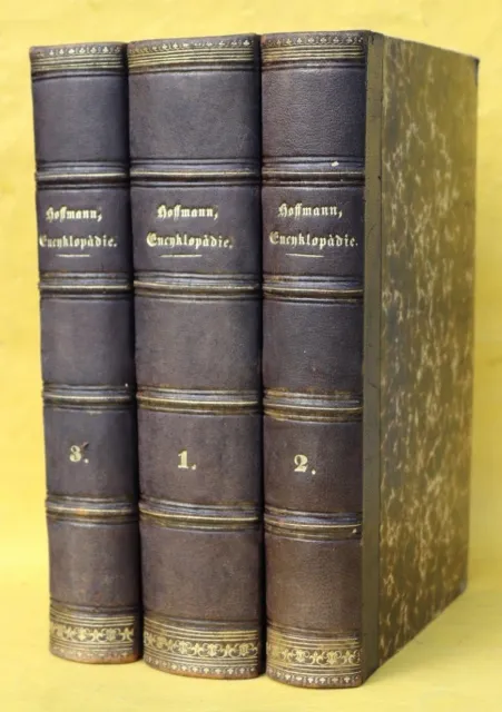 Hoffmann,Encyklopädie Der Erd-,Völker- Und Staatenkunde,3 Bände,1864,Rar