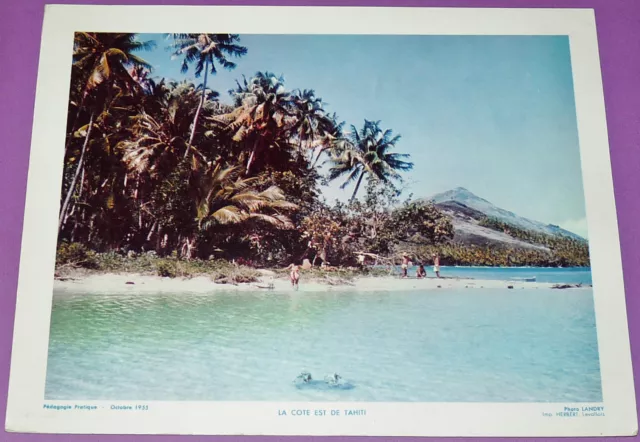 Photo Ecole 1955 Oceanie Colonies France Tahiti Cote Est Polynesie