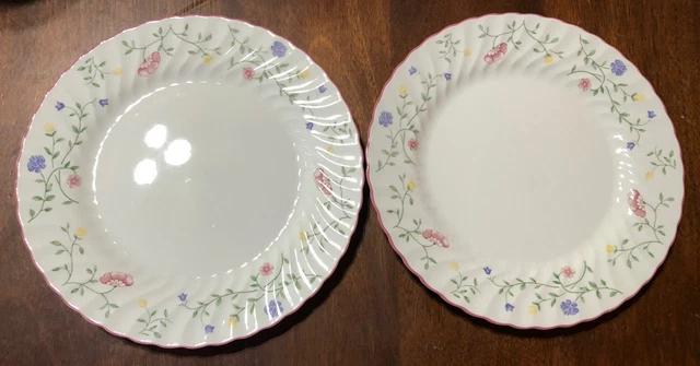 Lot of 2 Johnson Brothers Summer Chintz 10 1/4" Dinner Plates England
