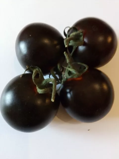 30 Semi Di Pomodoro Ciliegina Nero