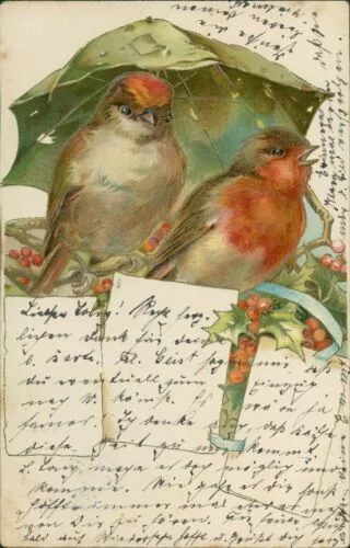 Ansichtskarte Prägekarte um 1910 (Nr.9888) Vögel unter Regenschirm