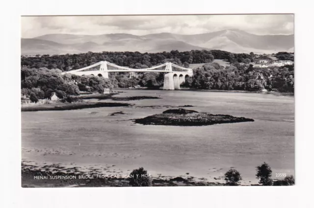 Real Photo Postcard Menai Suspension Bridge From Cae Glan Y Mor