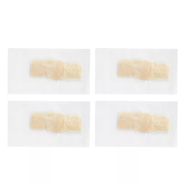 4 Pcs Budello Di Salsiccia Prosciutto Involucro Della Piatti Gourmet Domestico