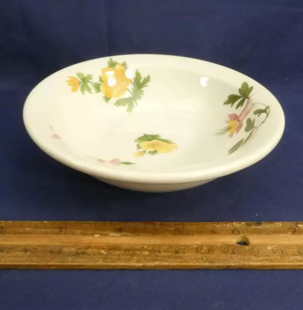 VINTAGE Great Northern Railroad Mountains & Flowers Syracuse China Bowl !