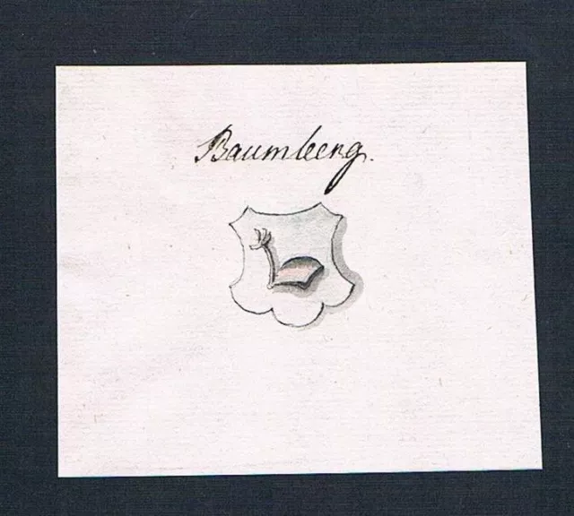 18. S.Baumberg Manuscrit Manuskript Armoiries Manuscrit Coat De Arms