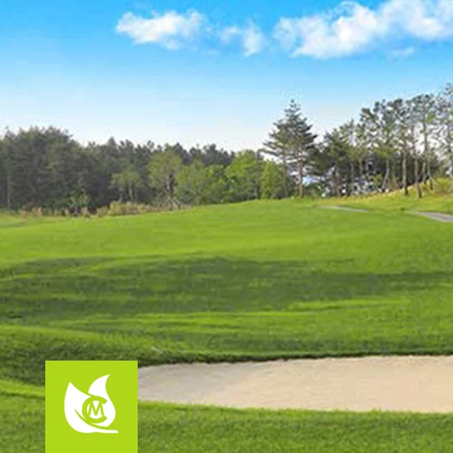 Quarzsand für Sandgruben auf Golfplätzen, 0/3mm, BigBag