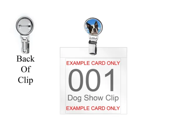 Boston Terrier Dog codey3 DOME on a Dog Show Ring Clip and Number Card Holder