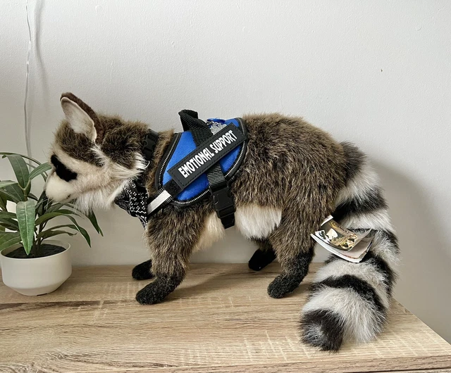 REALISTIC EMOTIONAL SUPPORT Raccoon Plush £50.00 - PicClick UK