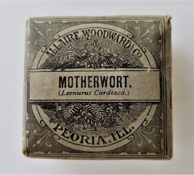 antique Unused MOTHERWORT QUACK MEDICINE Allaire Woodward HYSTERIA NERVINE