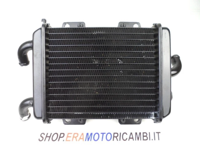 Peugeot Elystar 125 Radiateur Ventilateur De Radiateur - Jan Althoetmar eK