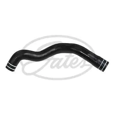 5 Stück P-Clip Halterungen Aus EPDM Gummi & Edelstahl – Für Schläuche, Rohre & Kabel Bis 8 Mm