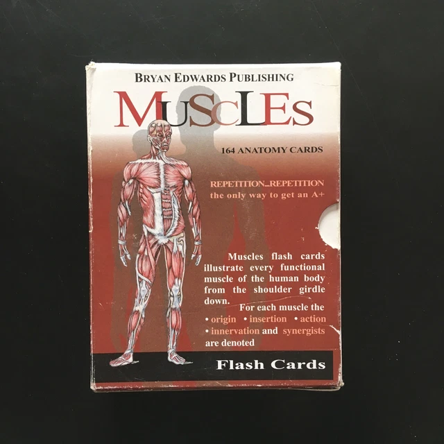 Anatomy 1 Axial Muscles Flash Cards By Cueflash vrogue.co