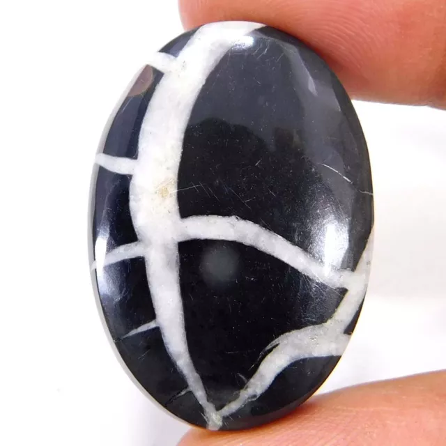 53.05Cts. 100% Natural Unique Septarian Gronates Oval Cabochon Loose Gemstone