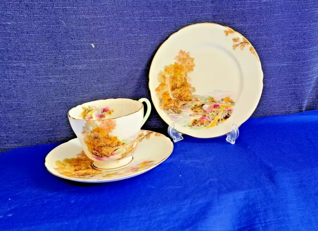 Shelley Trio Set. Tea Cup, Saucer and Side Plate "Heather" Pattern. England