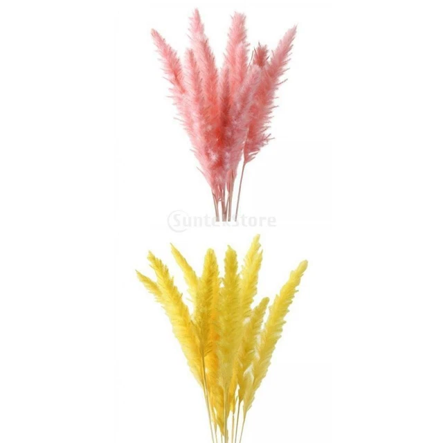 Kits De Bouquets De Fleurs Printanières Baker Ross - Lot De 3 Pour Bricolage Enfants Fête Des Mères