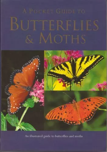 A Pocket Guide to Butterflies & Moths by Balmer, Elizabeth