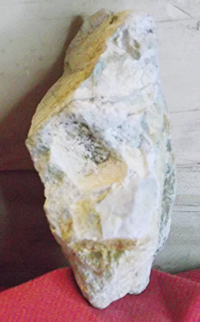 Prehistoric Stone-Fossil/Effigy/Portable Rock Art/Sculpture/ Pareidolia-Anomaly