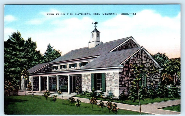 IRON MOUNTAIN, Michigan MI ~ TWIN FALLS FISH HATCHERY Dickinson County Postcard