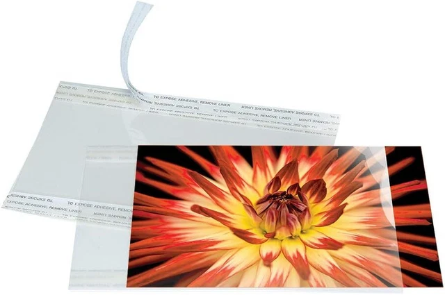 Lineco Photo Mounting Sleeves fits 4 in. x 6 in. print pack of 25