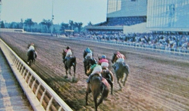 Horse Racing Sports Matchbook Matchcover: 1969 Blue Bonnet (Montreal Quebec) E13 3