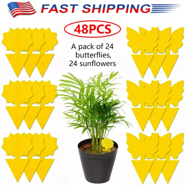 48 Pcs Sticky Fruit Fly Traps Fungus Gnat Killer Trap Use for Indoor&Outdoor US