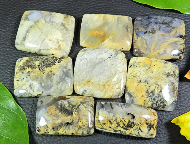 8 Pcs Natural Tiger Dendritic Agate Cabochon Loose Gemstone Lot 351Cts. U199