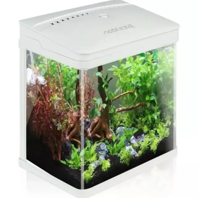 Aquarium en Verre 7L avec Lumières LED et Système de Filtration Écologique