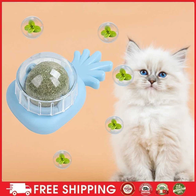 Ananas Catnip Lickable Ball giocattolo interattivo menta gatto per animali domestici