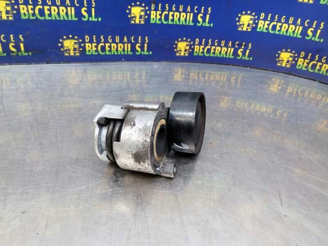 117503662R galet tendeur pour RENAULT MEGANE II RANCHERA FAMILIAR 2003 1062848 2