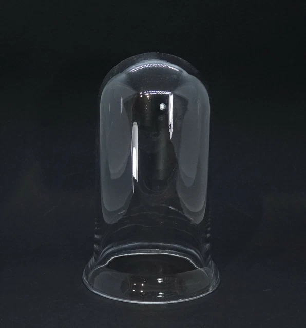 Cúpula de Cristal - Campana de Cristal, 19 Siglo, 18CM (#14085)